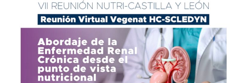 VII NUTRI-CASTILLA Y LEÓN MEETING. Vegenat HC-SCLEDYN Virtual Meeting