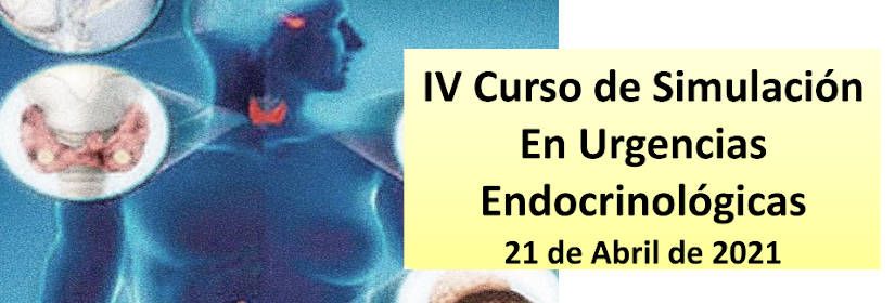IV Curso de Simulación  En Urgencias Endocrinológicas