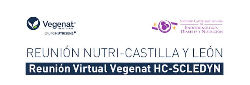 IV MEETING NUTRI-CASTILLA Y LEÓN - Virtual Meeting Vegenat HC-SCLEDYN